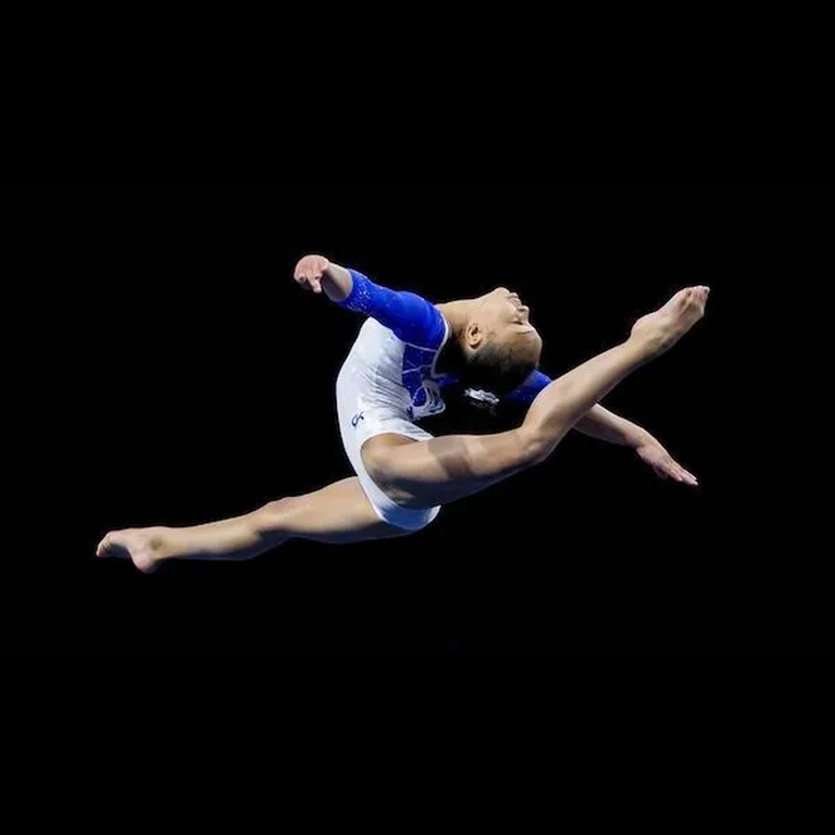 Gymnastics pose nearest reference