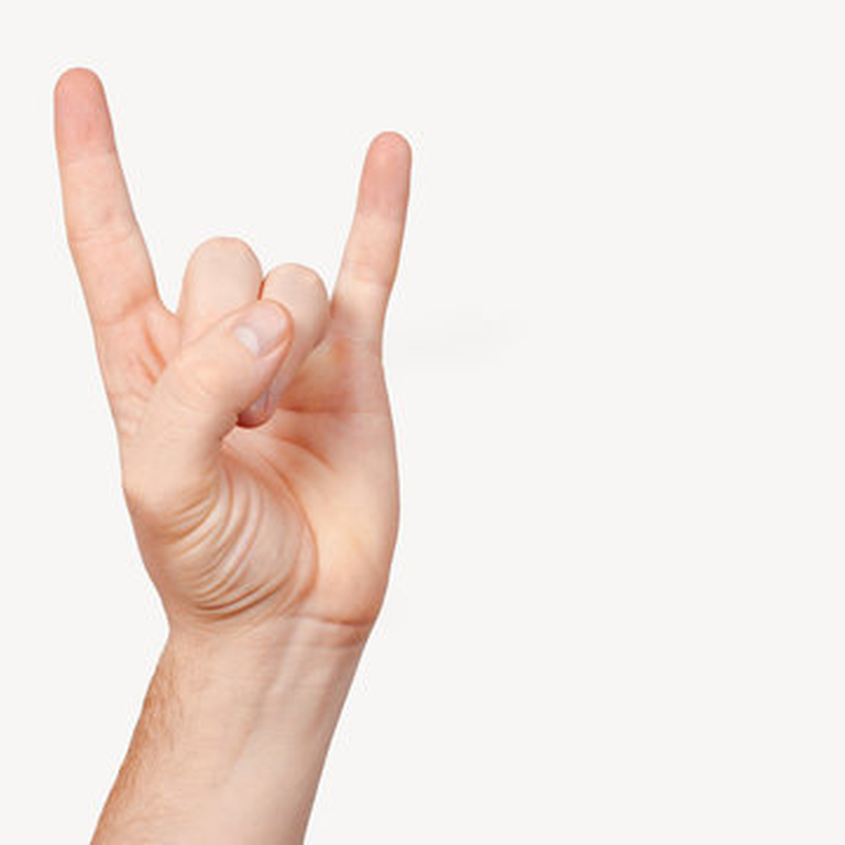 Hand pose nearest reference