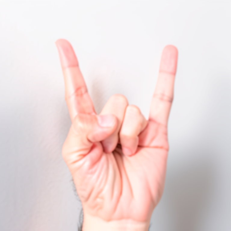 Hand pose guided